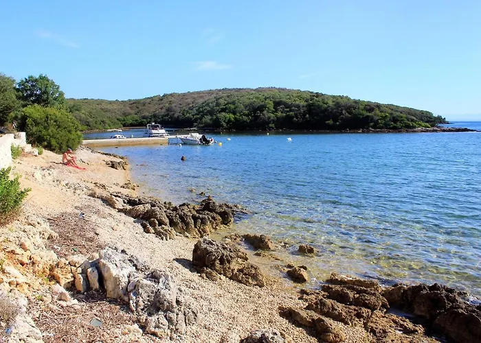 Apartment By The Sea Cove Pogana, Cres - 14172